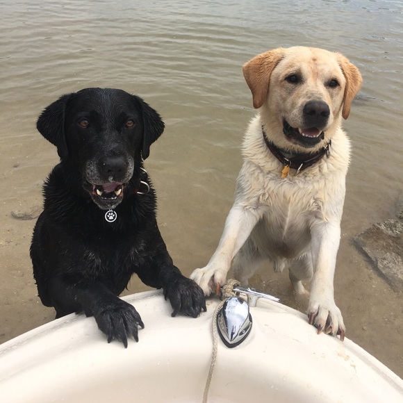 Meet your Posher, Tonya - Picture 4 of 4